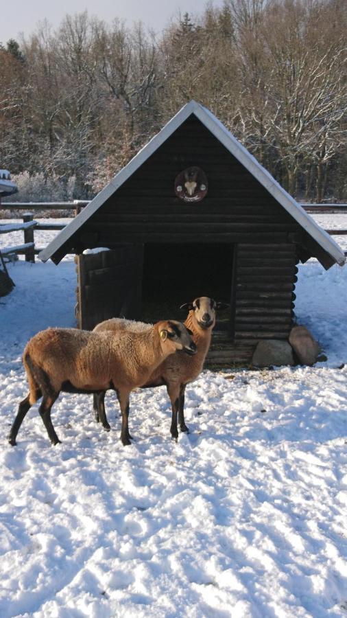 Ferienhaus Rothemuhle Villa Kottmar Esterno foto